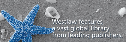 Banner Ad